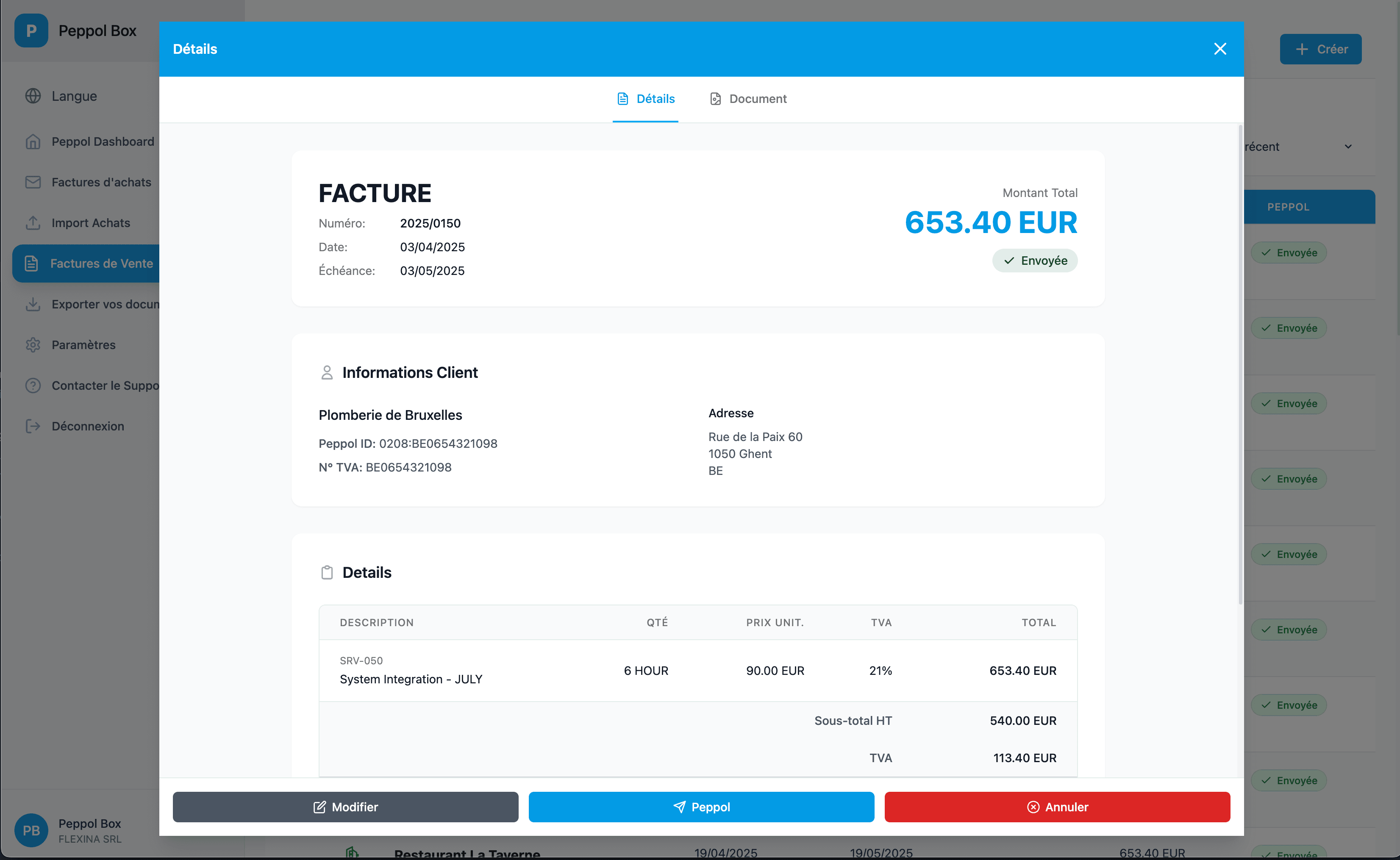 Invoice preview interface